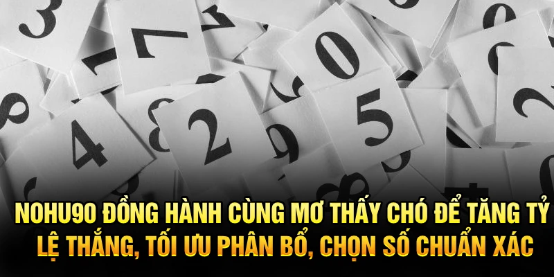 Nohu90 đồng hành cùng mơ thấy chó để tăng tỷ lệ thắng, tối ưu phân bổ, chọn số chuẩn xác