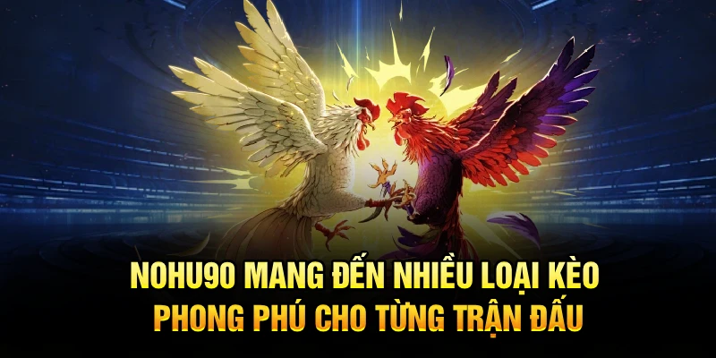 Nohu90 mang đến nhiều loại kèo phong phú cho từng trận đấu