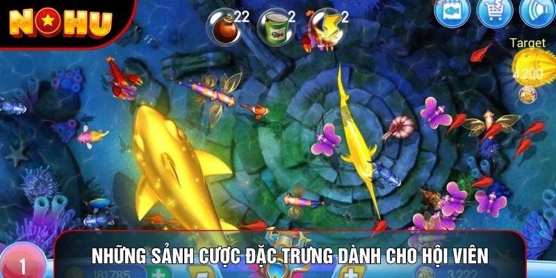 Những sảnh cược đặc trưng dành cho hội viên