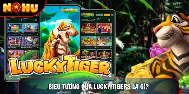 Biểu tượng của lucky tigers là gì?