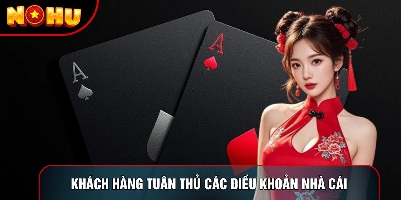 Khách hàng tuân thủ các điều khoản nhà cái