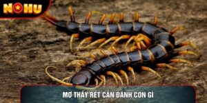 Mơ Thấy Rết Cắn Đánh Con Gì Giải Mã Một Cách Chuẩn Xác Nhất