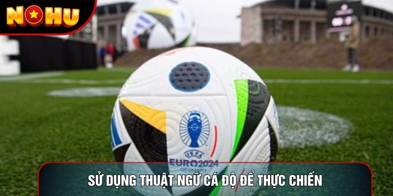 Sử dụng thuật ngữ cá độ để thực chiến