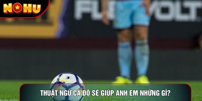 Thuật ngữ cá độ sẽ giúp anh em những gì?